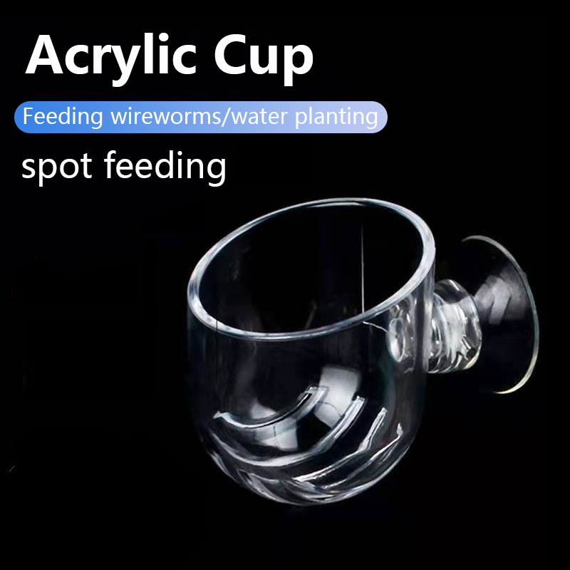 Planted Aquarium Products - Copa de acrílico para plantas acuáticas