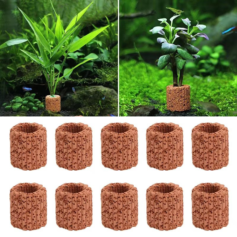 Planted Aquarium Products - Anillo fijo para plantas acuáticas, para