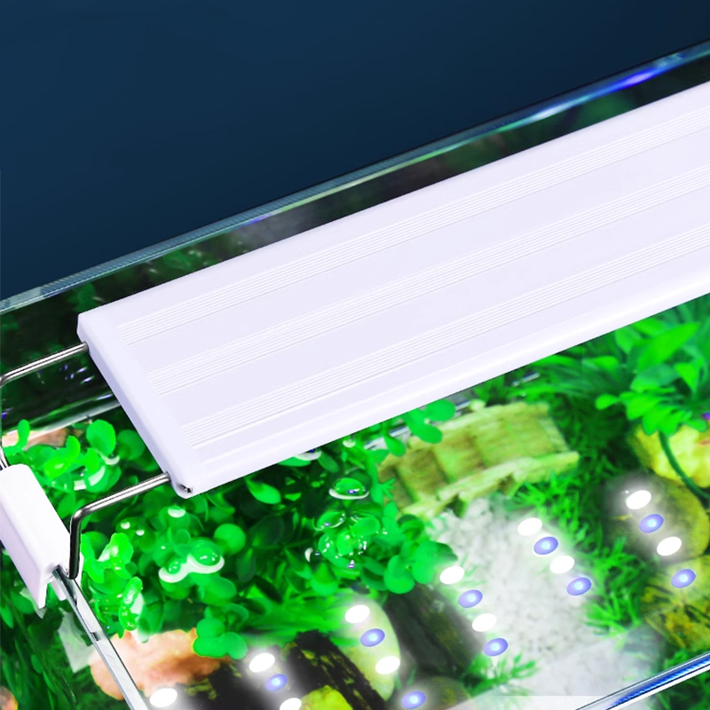 Aquarium Plant Diseases - Lámpara LED superbrillante para acuario, luz
