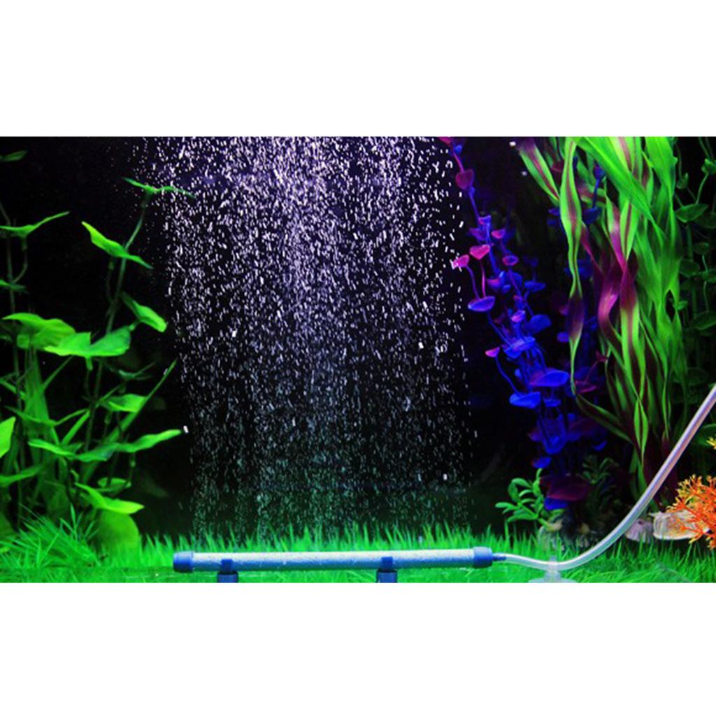 Difusor de Oxígeno para Acuari - Non Planted Aquarium Fish reseña y precio