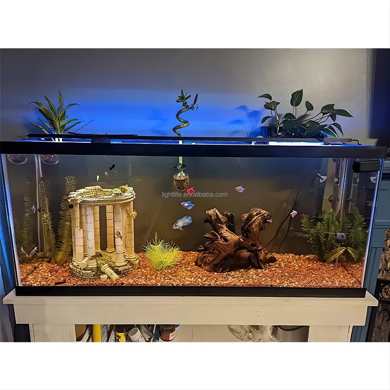 Luz LED para Acuario con Encen - Planted Aquarium Cycling reseña y precio