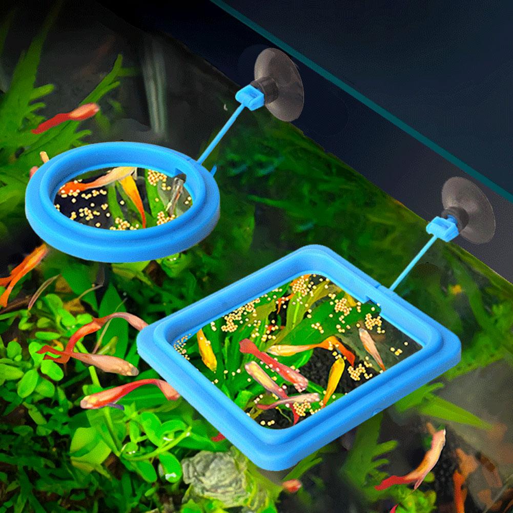 Anillo para alimentar peces, d - Tetra Food Tropical Flakes reseña y precio
