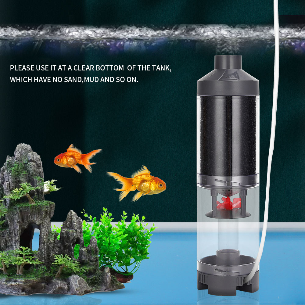 Colector de peces de peces, co - Aquarium Lily Pipe reseña y precio