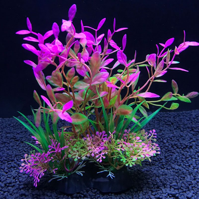 Decoración de Acuario, una var - Aquarium Plant Varieties reseña y precio