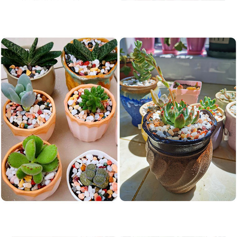 Arena natural para acuario de  - Aquarium Planted Sand reseña y precio