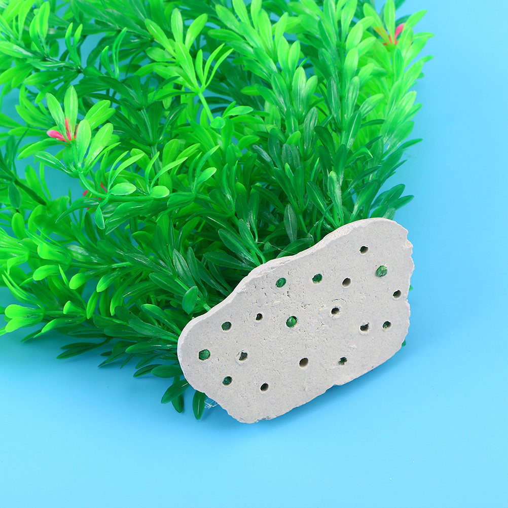 Plantas artificiales de plásti - Non Planted Aquarium Fish reseña y precio