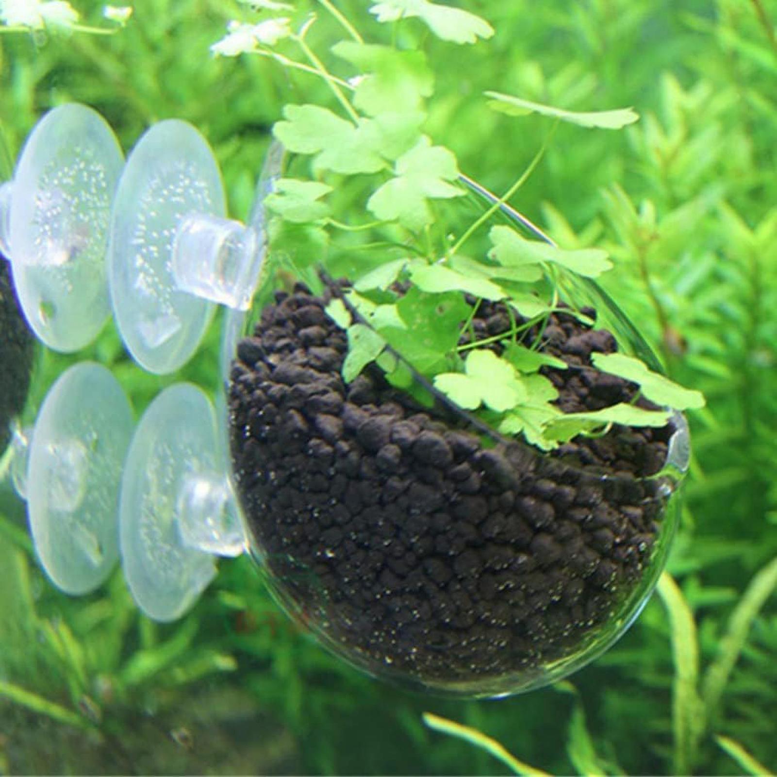 Soporte para Plantas de Acuari - Aquarium Plant Ornament reseña y precio