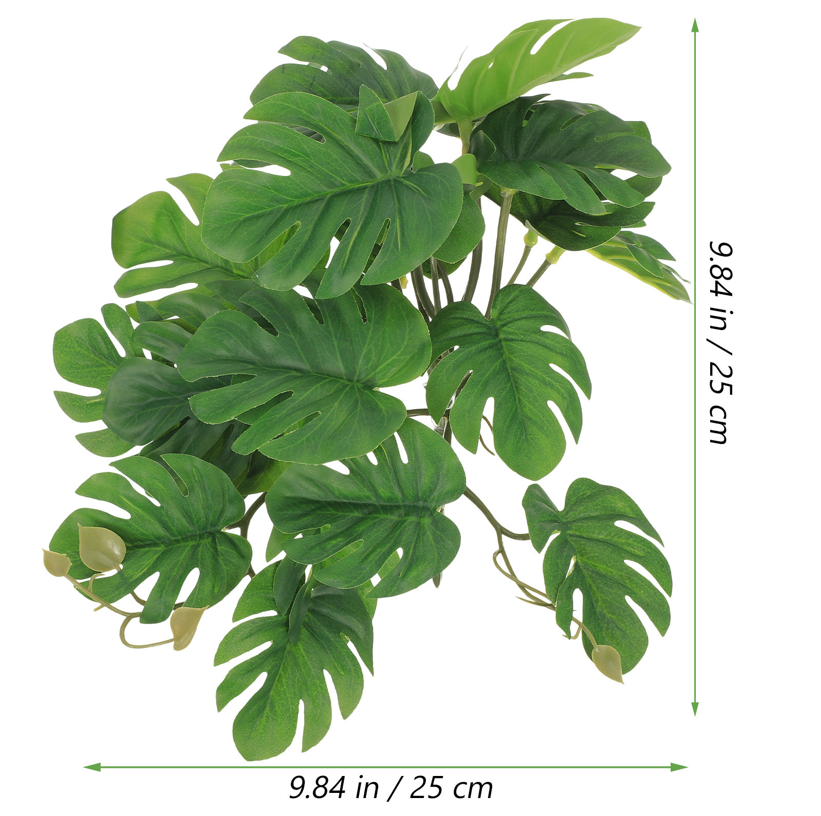 Plantas Seguras y No Tóxicas p - Non Planted Aquarium Fish reseña y precio