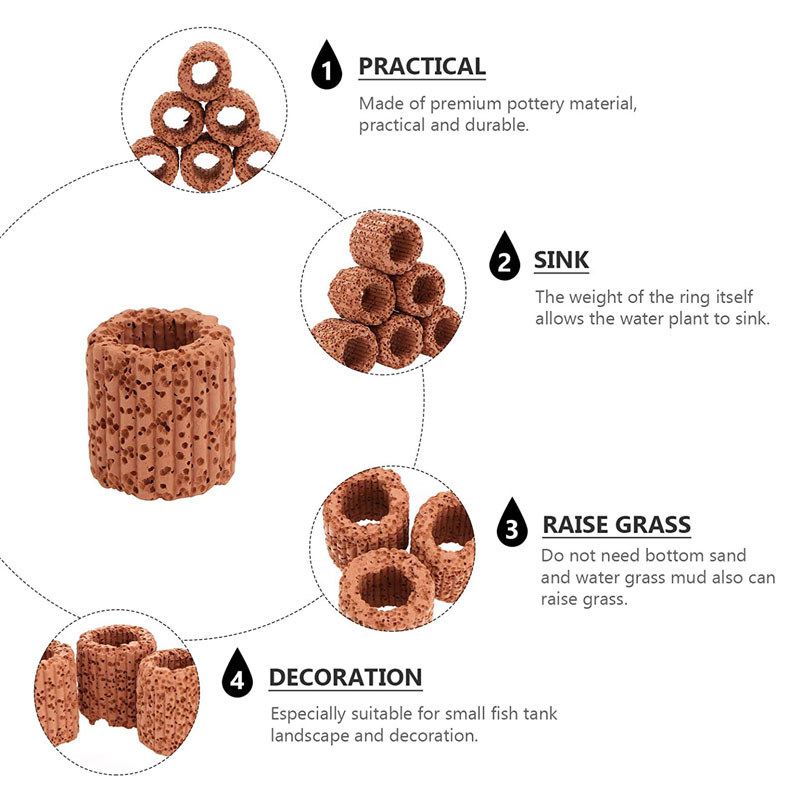 Anillo fijo para plantas acuát - Planted Aquarium Products reseña y precio