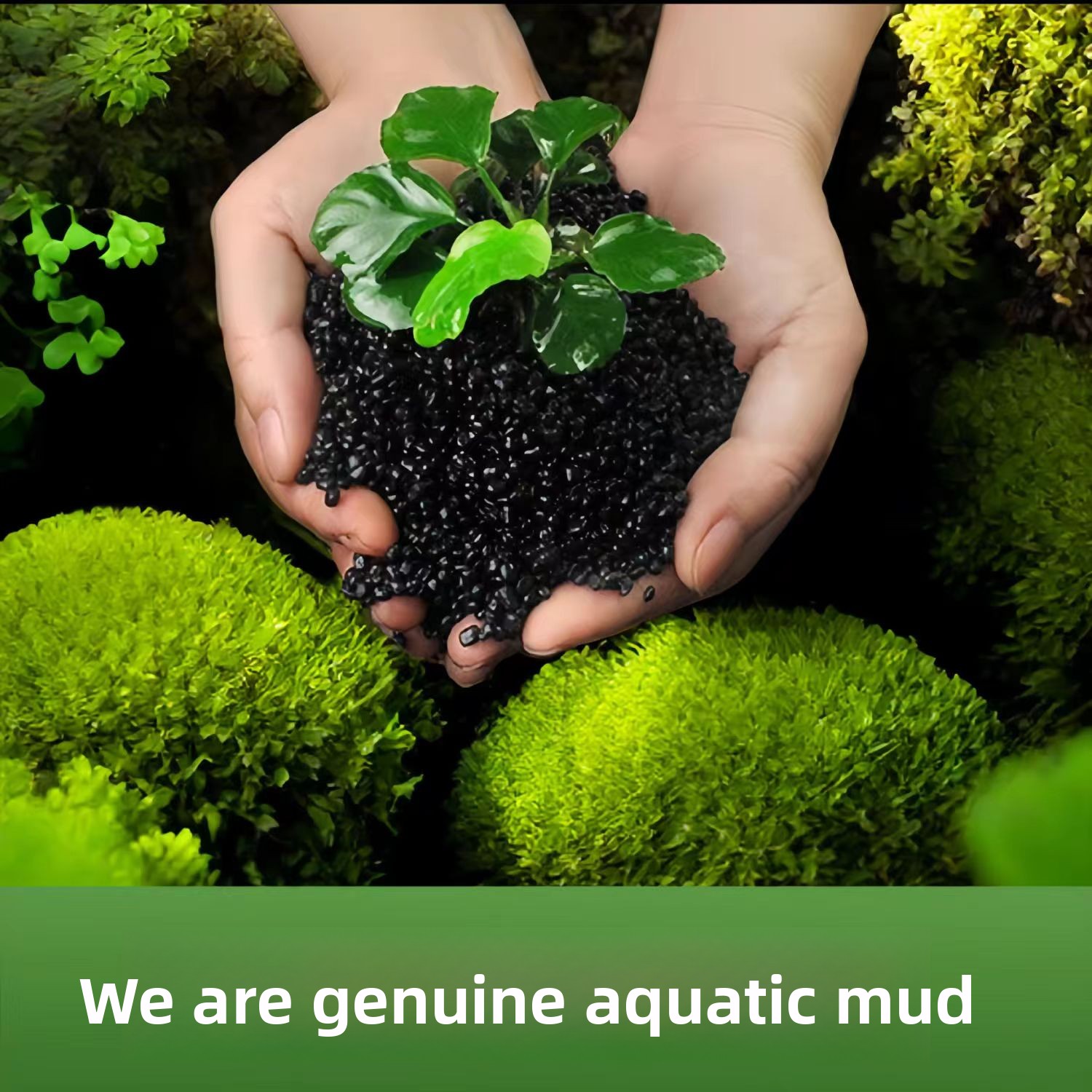 Arena de arcilla negra para de - Aquarium Planted Sand reseña y precio