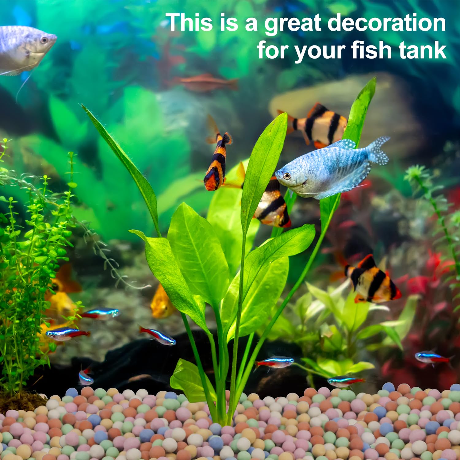 Planta hidropónica decorativa  - Aquarium Plant Vitamins reseña y precio