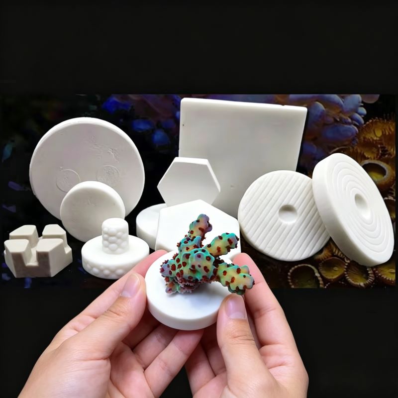Base de Cerámica SPS para Frag - Aquarium Plant Ornament reseña y precio