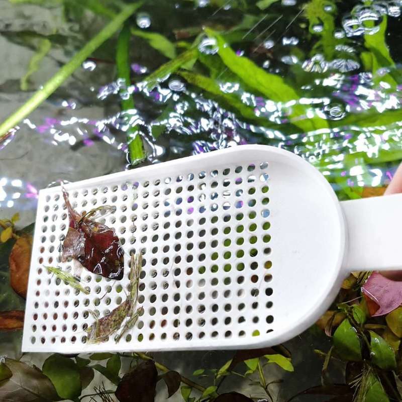 Red de Recogida de Residuos pa - Planted Aquarium Products reseña y precio