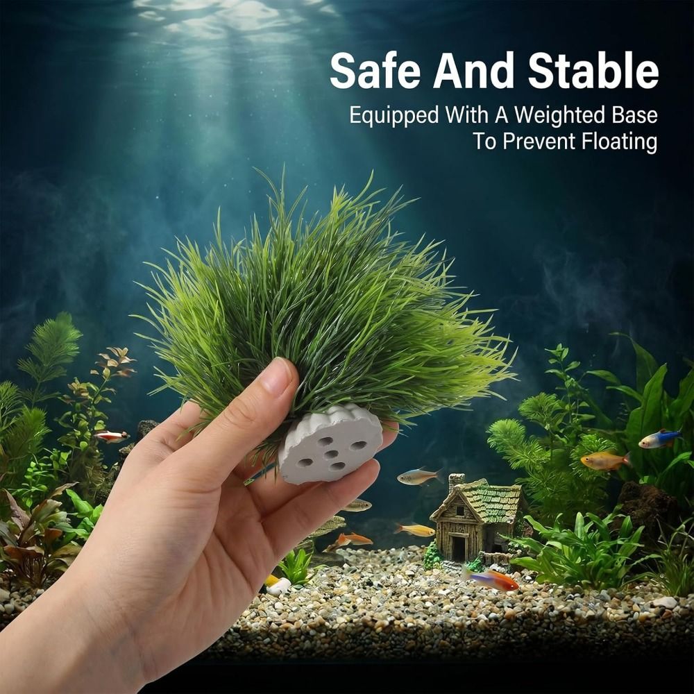 Plantas artificiales no tóxica - Non Planted Aquarium Fish reseña y precio