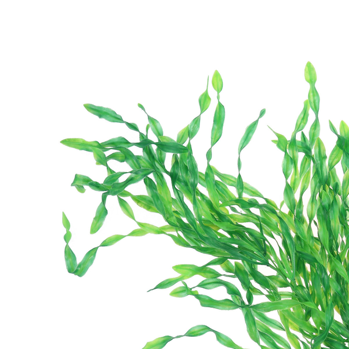 Plantas de acuario realistas,  - Non Planted Aquarium Fish reseña y precio