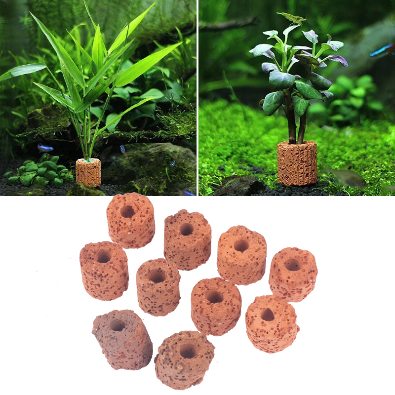 10 unidades de anillos cerámic - Planted Aquarium Products reseña y precio