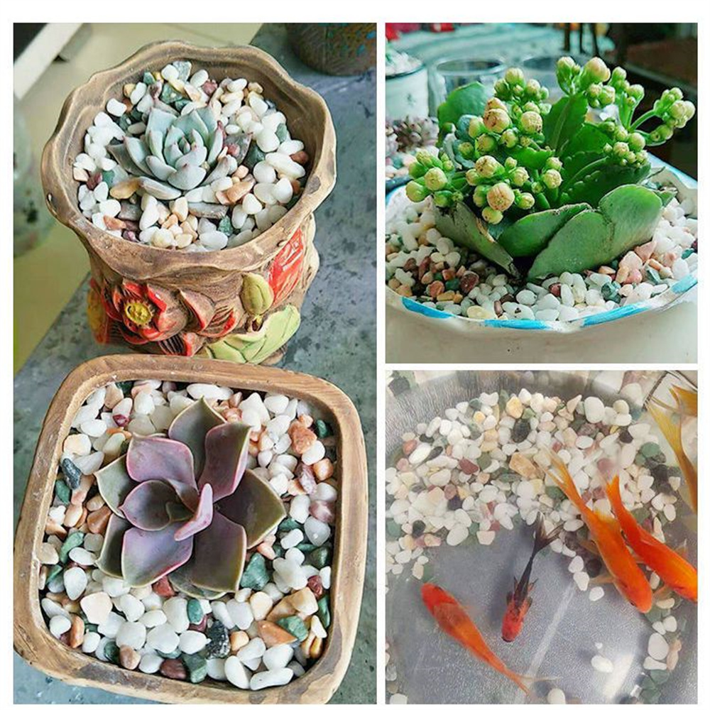 100g de Piedras de Grava de Cr - Aquarium Planted Sand reseña y precio