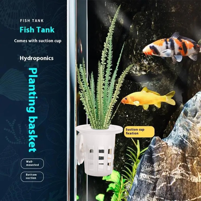 10/20/30 Uds. Vasos de plástic - Aquarium Plant Diseases reseña y precio