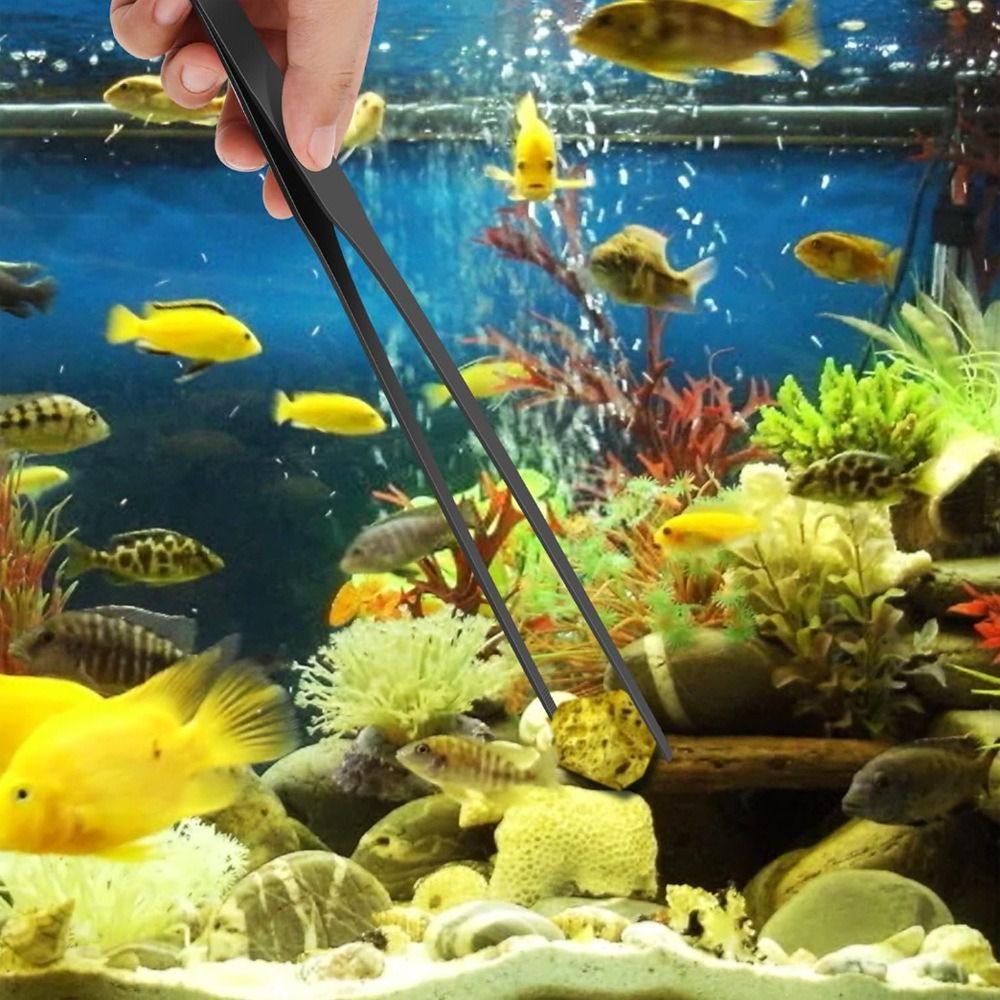 Pinzas Largas de Acero Inoxida - Non Planted Aquarium Fish reseña y precio