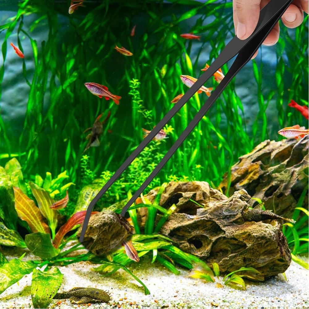 Pinzas Largas de Acero Inoxida - Non Planted Aquarium Fish reseña y precio