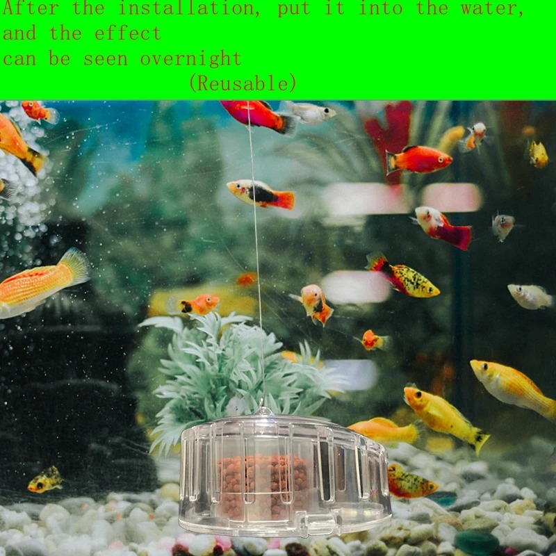 Trampa de caracol para plantas - Planted Aquarium Products reseña y precio