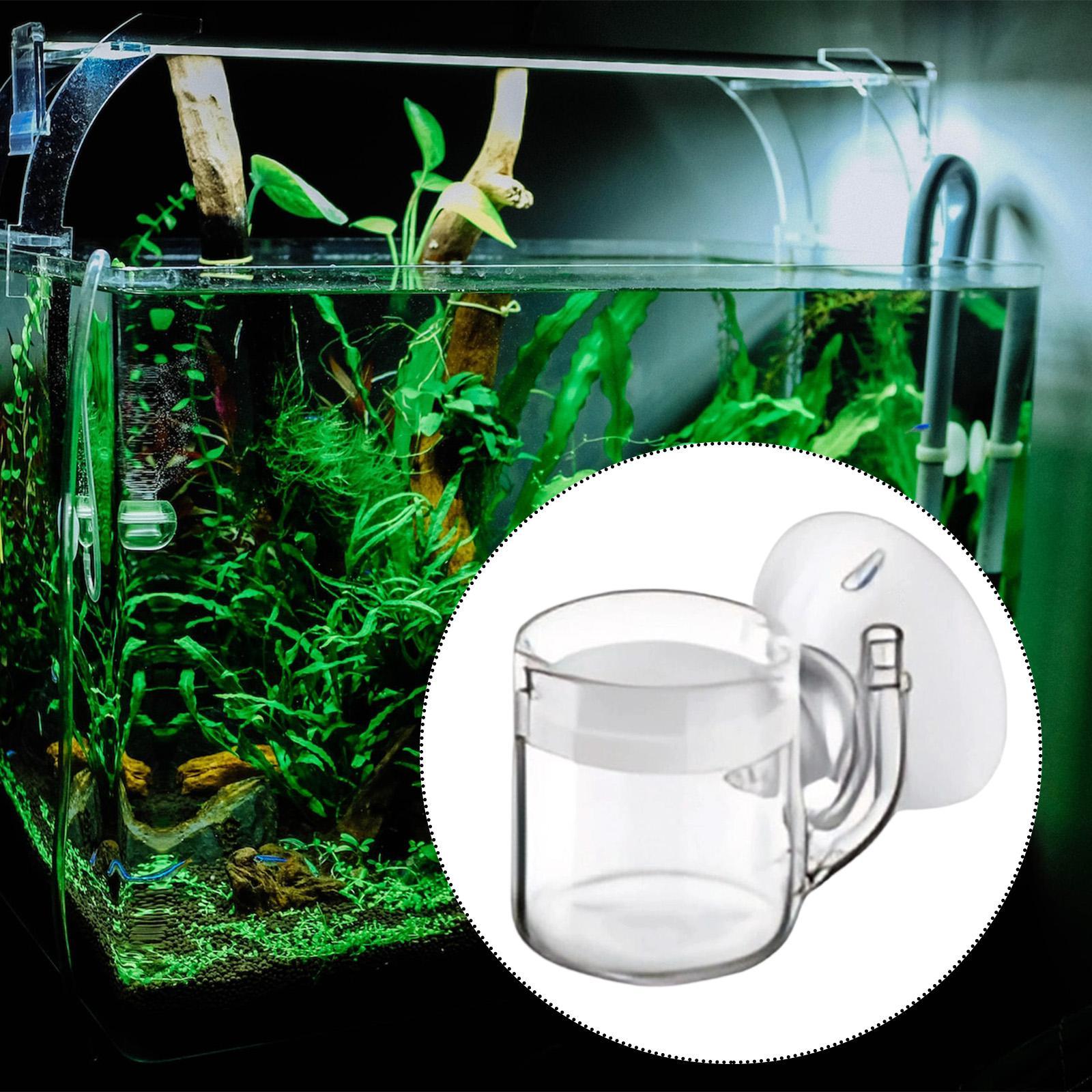 Difusor de CO2 de Fondo Plano, - Aquarium Plant No Co2 reseña y precio