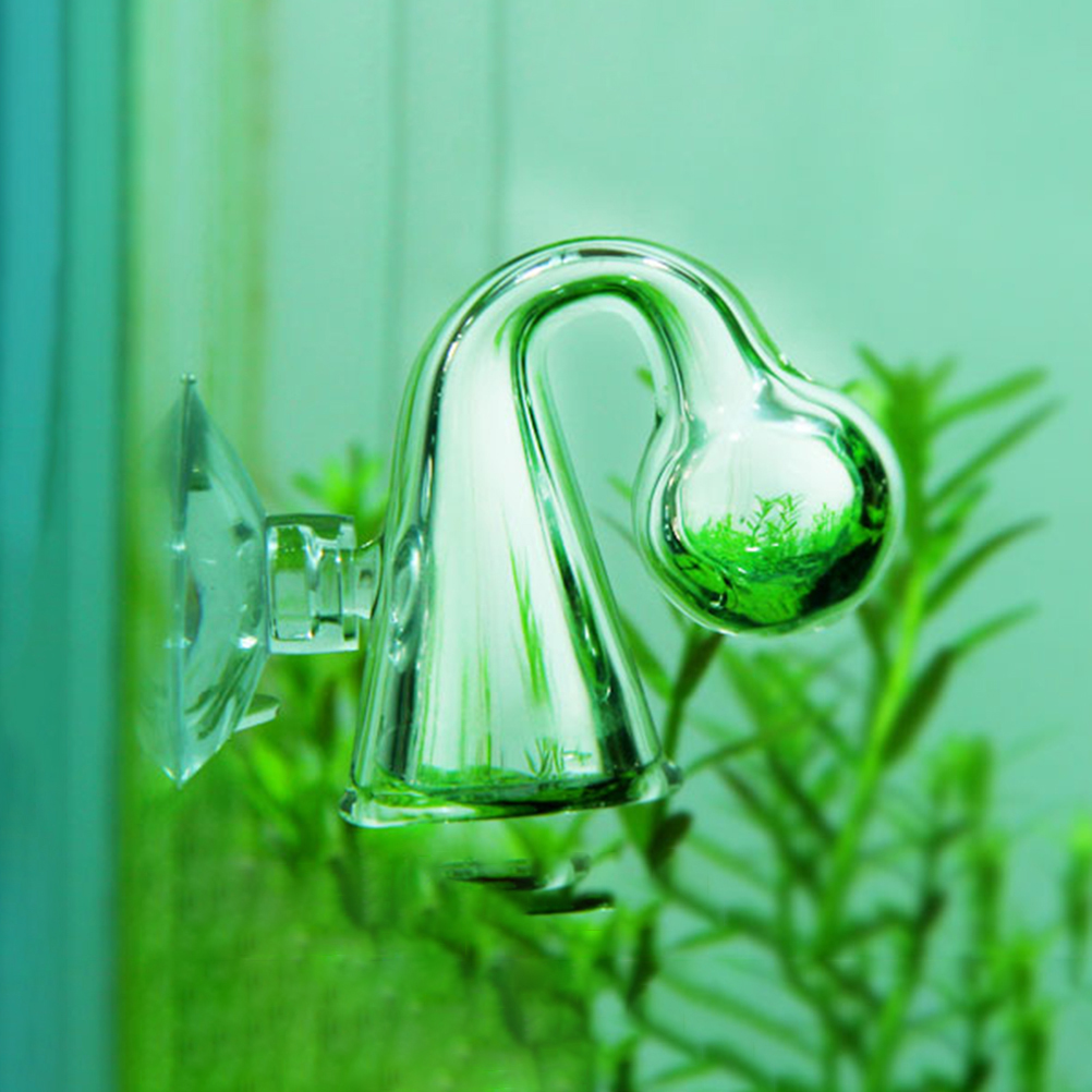 Comprobador de caída de vidrio - Aquarium Plant No Co2 reseña y precio