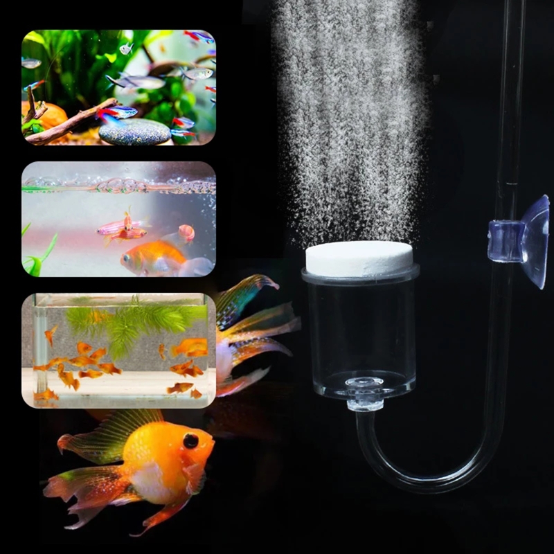 Juego de 4 piezas de difusor d - Aquarium Plant No Co2 reseña y precio