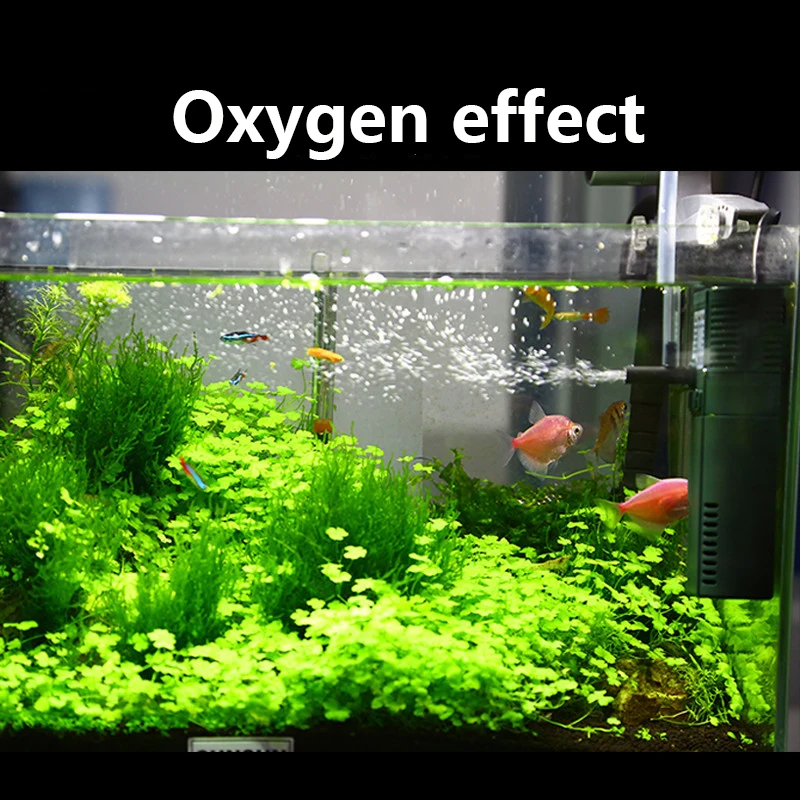 SUNSUN-bomba sumergible de oxí - Planted Aquarium Products reseña y precio