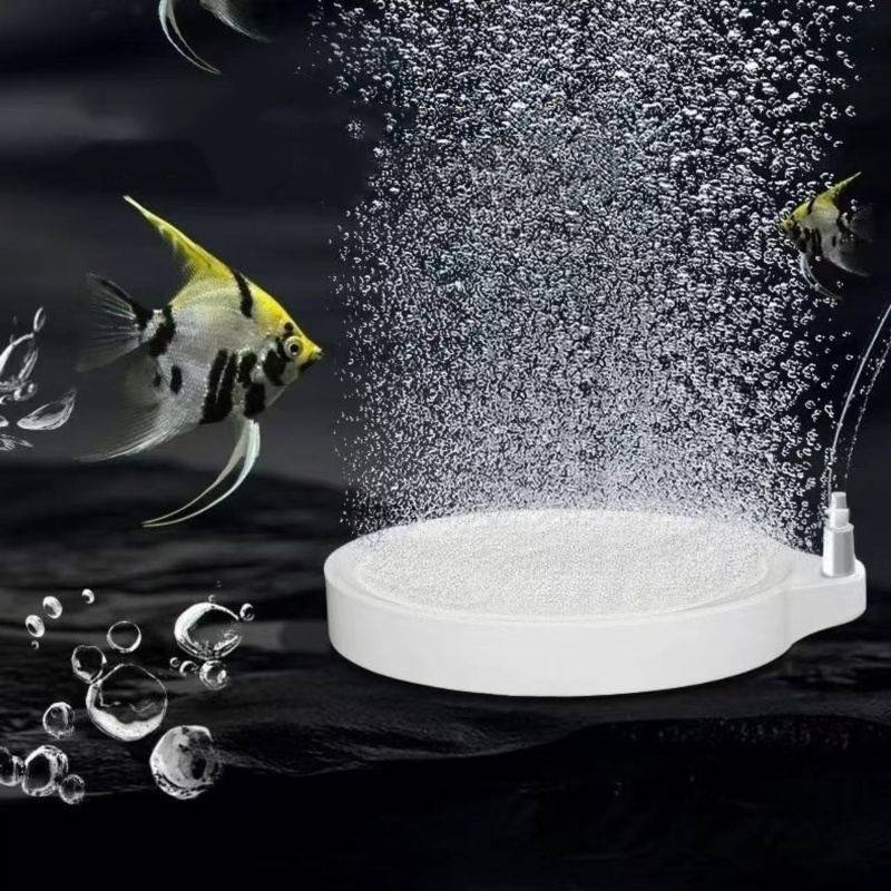 Disco de Aire Nano para Acuari - Aquarium Lily Pipe reseña y precio