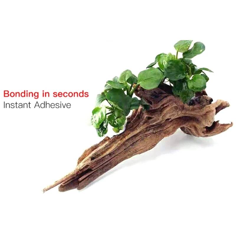 Pegamento para musgo de 1.8oz/ - Non Planted Aquarium Fish reseña y precio